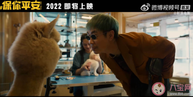 《保你平安》后勁有多大 《保你平安》看點有哪些