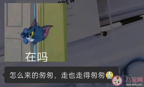 關于不回消息的文案句子 不回消息發(fā)瘋文案合集