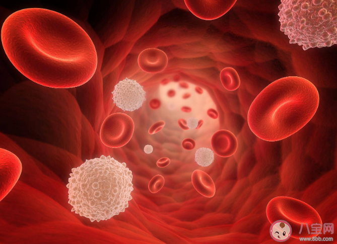 相同血型的男女更有可能結(jié)婚嗎 導(dǎo)致血型選型交配的原因是什么