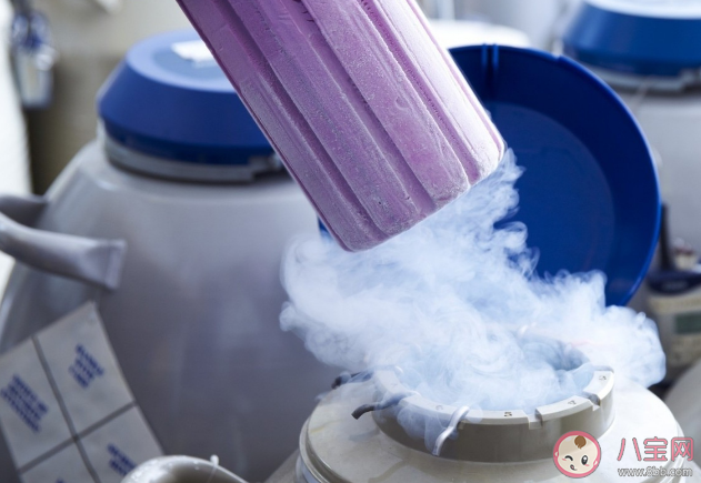 就開放單身女性凍卵征求專家意見是怎么回事 凍卵該放開嗎