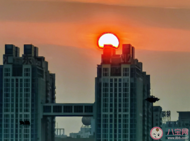 你為什么堅持在異鄉(xiāng)打拼 選擇異鄉(xiāng)打拼的原因有哪些