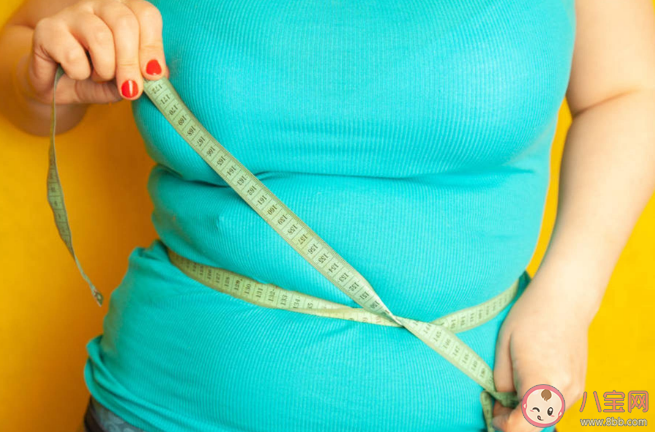 易胖體質有什么特點 易胖體質怎么運動 易胖體質有什么特點 易胖體質怎么運動