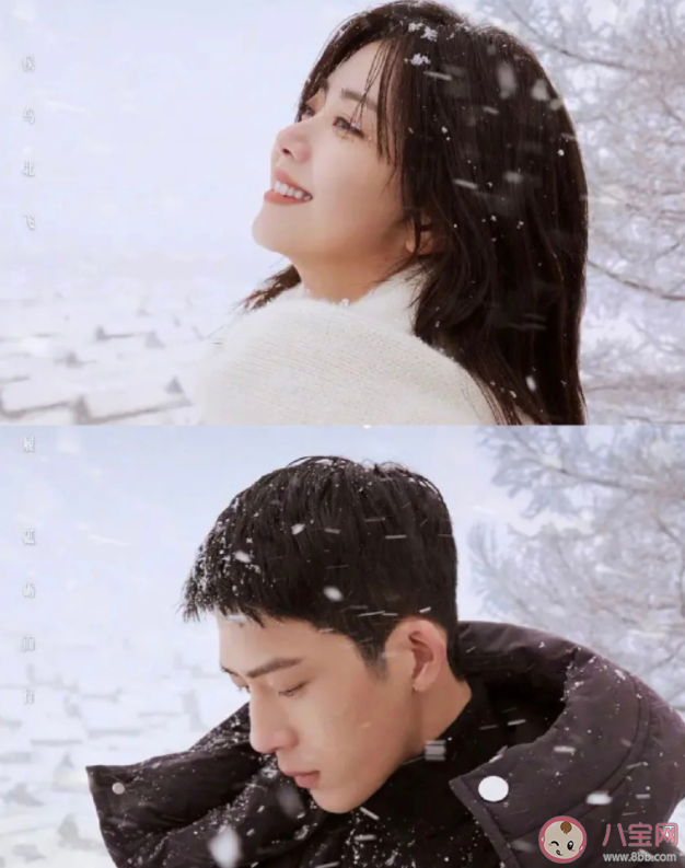 《歸路》人物關系是怎樣的 《歸路》拍攝地在哪