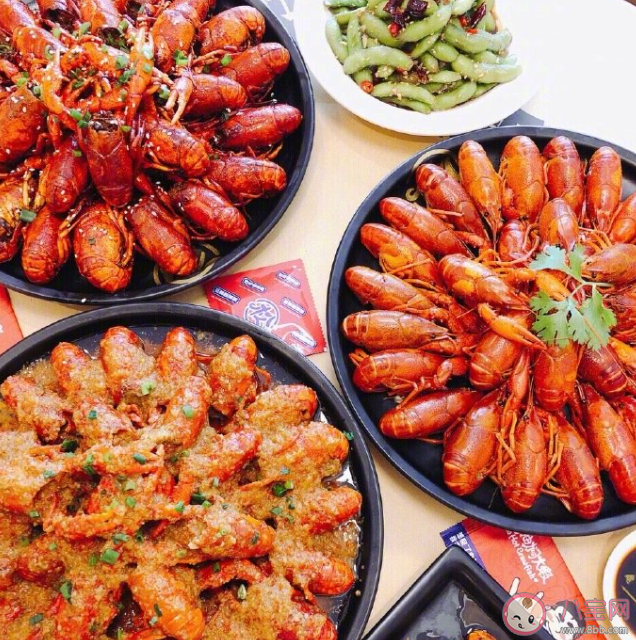 吃小龍蝦會長胖嗎 龍蝦肉吃了有什么好處