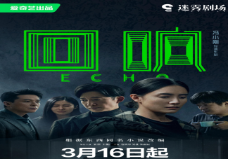 《回響》小說幕后兇手是誰 《回響》結(jié)局是什么