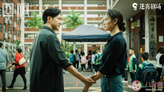 《回響》追劇日歷 《回響》有哪些看點