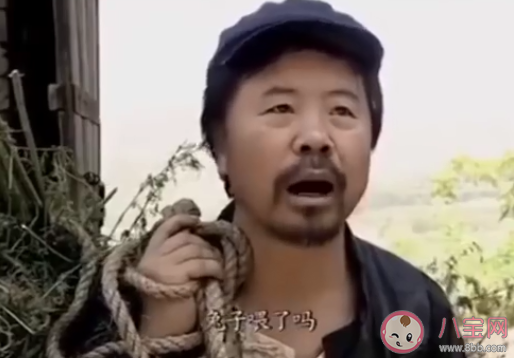 兔子喂了嗎是什么梗 兔子喂了嗎梗的出處是什么