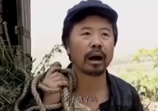 兔子喂了嗎是什么梗 兔子喂了嗎梗的出處是什么