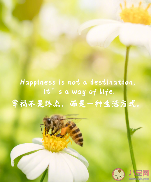 20件治愈自己生活的小事 如何才能讓自己幸福 20件治愈自己生活的小事 如何才能讓自己幸福