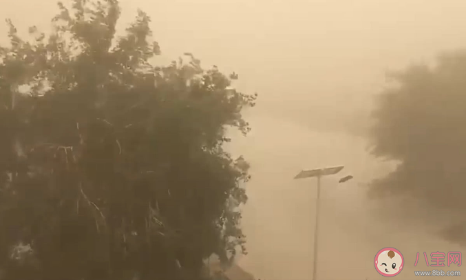 沙塵天氣哪些部位容易受傷害 沙塵天氣哪些人群更要做好健康防護