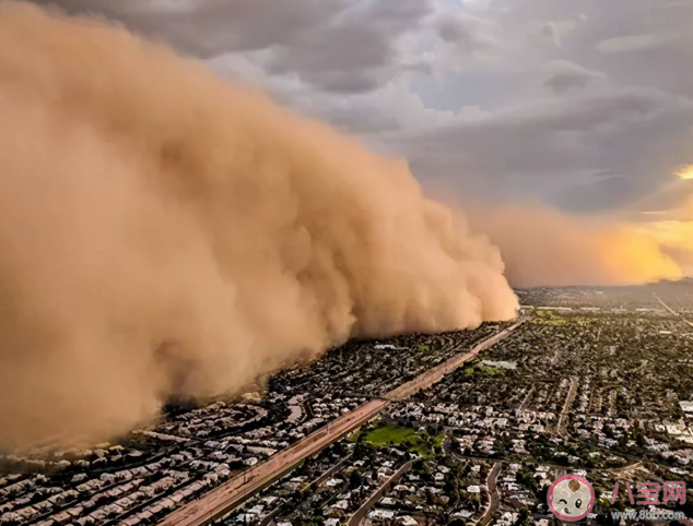 沙塵天氣哪些部位容易受傷害 沙塵天氣哪些人群更要做好健康防護