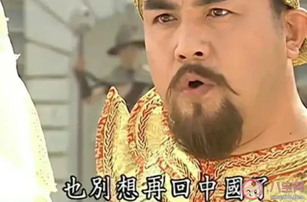 爾康去了緬甸都回不來是什么梗 爾康去了緬甸都回不來出處是什么