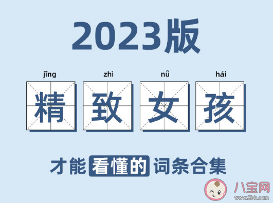 2023版精致女孩才能看懂的詞條合集 做一個精致的女孩有多難