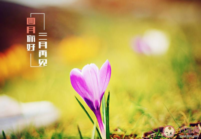 3月最后一天心情說說文案 3月再見心情說說配圖 3月最后一天心情說說文案 3月再見心情說說配圖