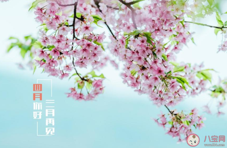 3月最后一天心情說說文案 3月再見心情說說配圖 3月最后一天心情說說文案 3月再見心情說說配圖