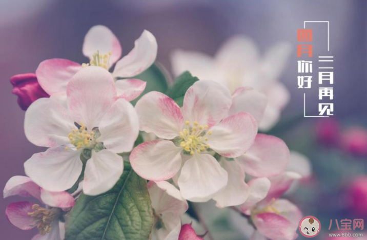 3月最后一天心情說說文案 3月再見心情說說配圖 3月最后一天心情說說文案 3月再見心情說說配圖