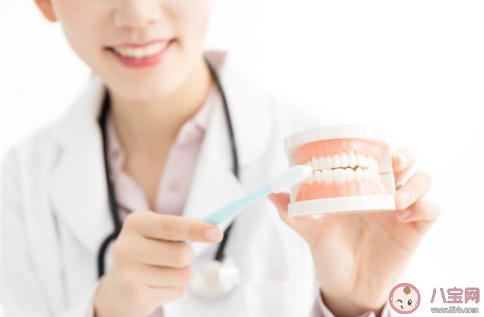 刷牙重點要刷哪里順序有何講究 晚上睡前刷牙有必要嗎 刷牙重點要刷哪里順序有何講究 晚上睡前刷牙有必要嗎