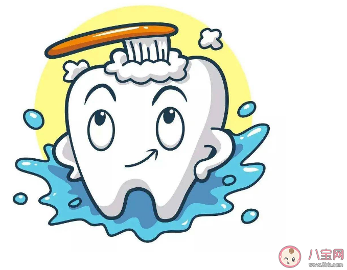 刷牙重點要刷哪里順序有何講究 晚上睡前刷牙有必要嗎 刷牙重點要刷哪里順序有何講究 晚上睡前刷牙有必要嗎