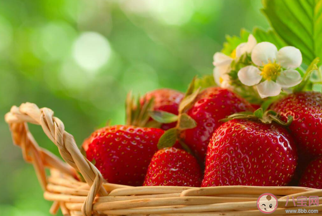 美國2023最臟果蔬榜出爐 如何有效地清除農藥殘留