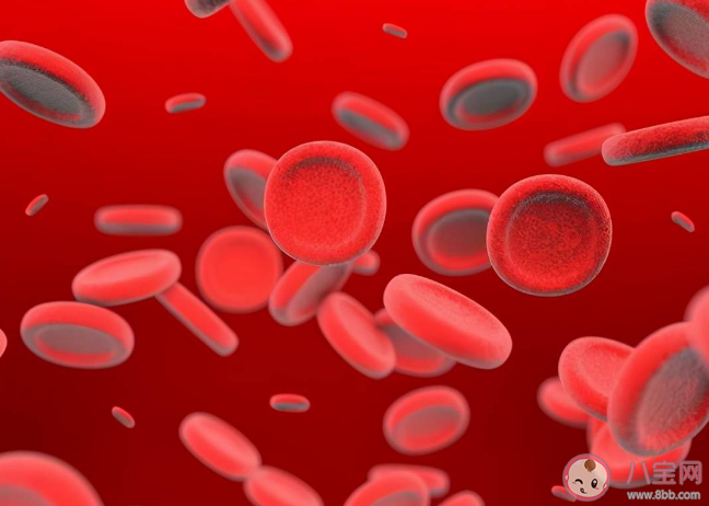 O型血更招蚊子是謠言 O型血真的是萬能血嗎 O型血更招蚊子是謠言 O型血真的是萬能血嗎