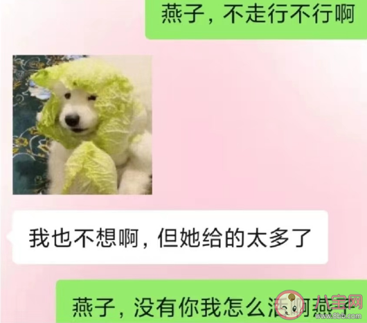 搭子是一種新型的社交關系 摸魚搭子是什么意思什么梗 搭子是一種新型的社交關系 摸魚搭子是什么意思什么梗