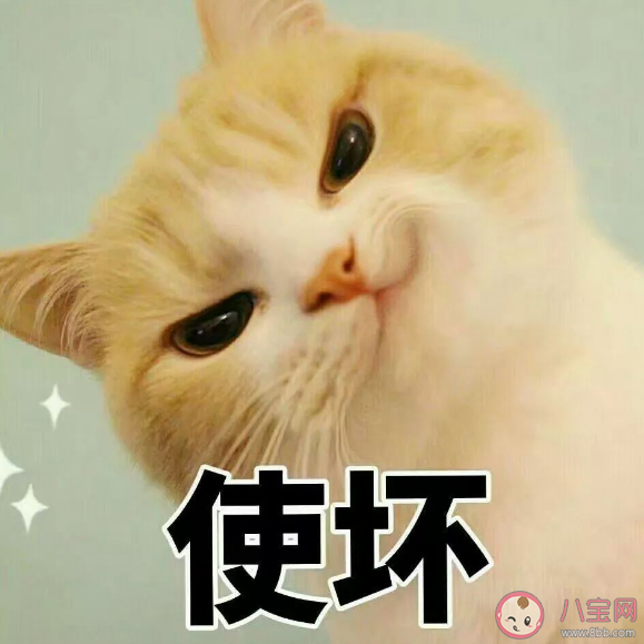 笑點高低和什么有關 笑點高低說明什么 笑點高低和什么有關 笑點高低說明什么