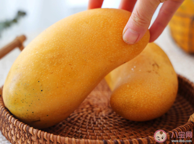 不同芒果口感有什么不同 好吃的芒果什么樣 不同芒果口感有什么不同 好吃的芒果什么樣