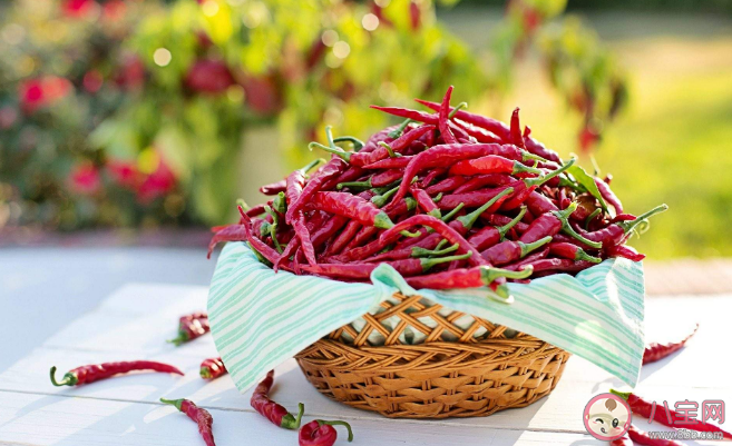 愛吃辣容易得痔瘡嗎 為什么不吃辣也會長痔瘡 愛吃辣容易得痔瘡嗎 為什么不吃辣也會長痔瘡