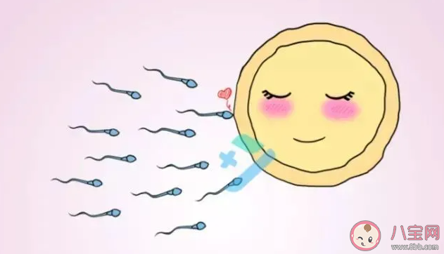 全球男性精子量告急 男性精子量為什么會下降