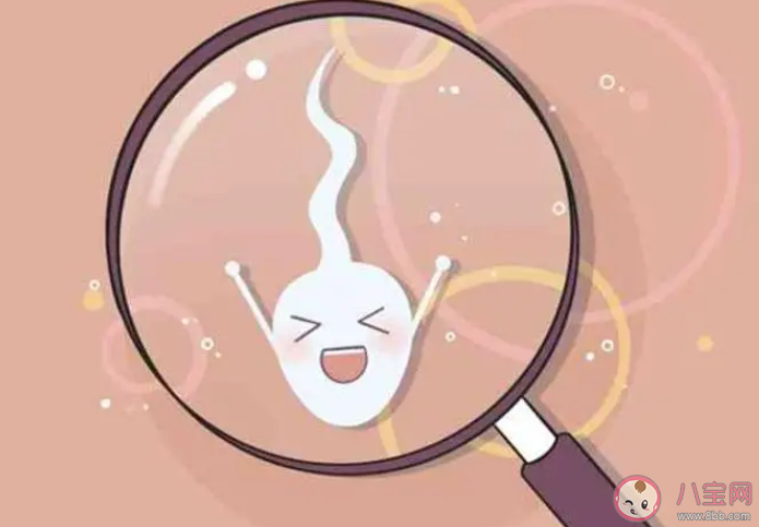 全球男性精子量告急 男性精子量為什么會下降