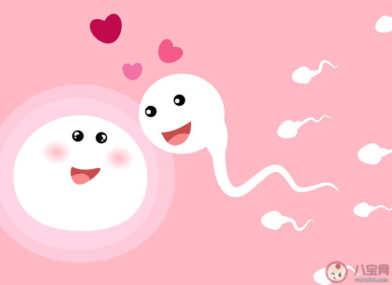 全球男性精子量告急 男性精子量為什么會下降