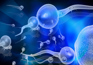 全球男性精子量告急是怎么回事 精子危機要來了嗎
