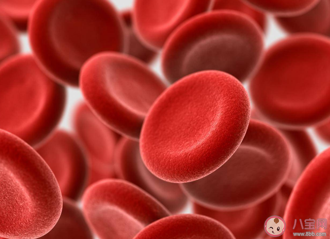 廣東檢出1例恐龍血 恐龍血有多罕見