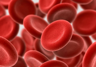 廣東檢出1例恐龍血 恐龍血有多罕見