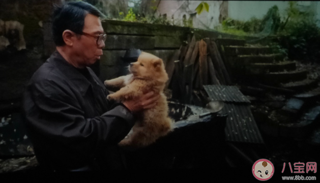 《忠犬八公》影評美篇 《忠犬八公》好不好看