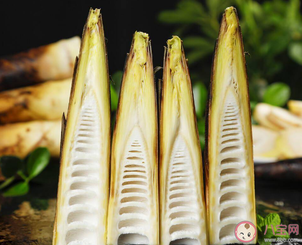 春筍營養價值怎么樣 鮮筍怎么保存比較好