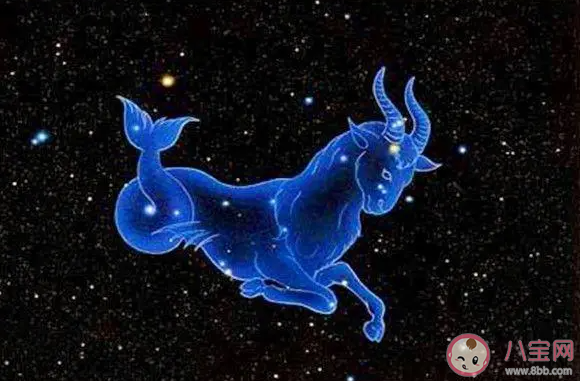 摩羯座真的還蠻會(huì)照顧人的 摩羯座是怎樣的人 摩羯座真的還蠻會(huì)照顧人的 摩羯座是怎樣的人