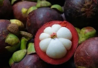 山竹有什么營養(yǎng)價值 山竹吃了有哪些好處