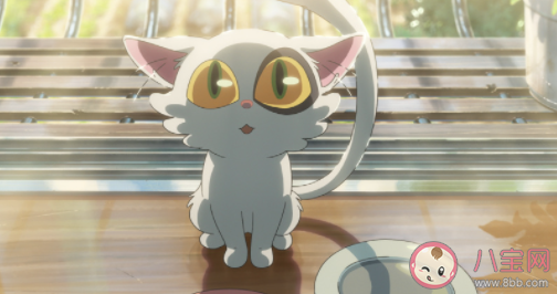 如何看待大臣貓的犧牲 你喜歡大臣貓嗎