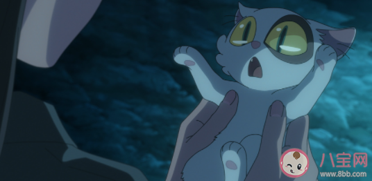 如何看待大臣貓的犧牲 你喜歡大臣貓嗎