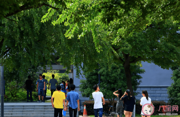 為什么許多大學生選擇單身不想脫單 單身的6個好處