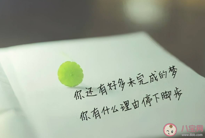 放棄和堅持哪個更勇敢 如何看待堅持和放棄的選擇