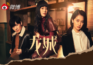 電視劇《龍城》觀后感 《龍城》劇評