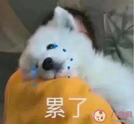 不生孩子還用努力工作嗎 不生小孩壓力會小很多嗎