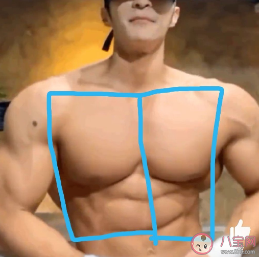 雙開門冰箱是什么意思什么梗 雙開門冰箱身材是什么樣的