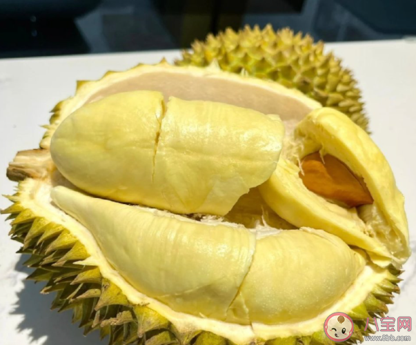 榴蓮一天最多吃幾個 榴蓮吃多了會怎樣 榴蓮一天最多吃幾個 榴蓮吃多了會怎樣