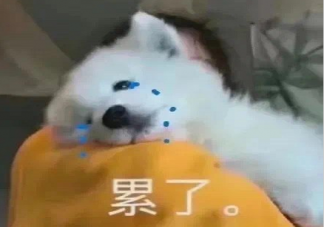 不生孩子還用努力工作嗎 不生小孩壓力會小很多嗎