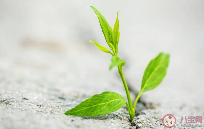 要不要和孩子談論生命的意義 為什么要和孩子談論生命的意義 要不要和孩子談論生命的意義 為什么要和孩子談論生命的意義
