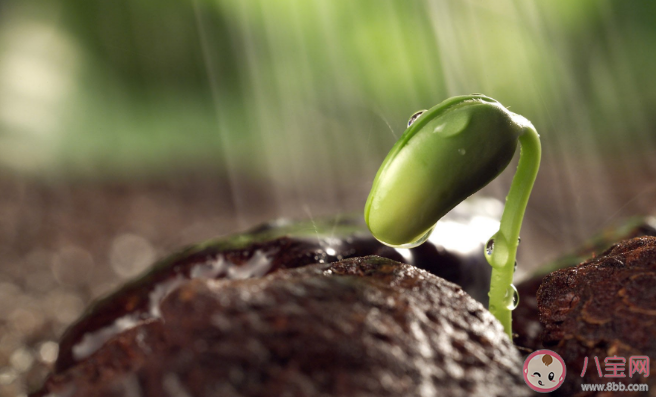 要不要和孩子談論生命的意義 為什么要和孩子談論生命的意義 要不要和孩子談論生命的意義 為什么要和孩子談論生命的意義