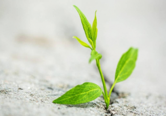 要不要和孩子談論生命的意義 為什么要和孩子談論生命的意義